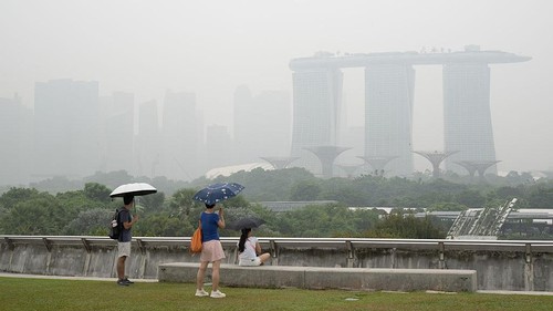 Singapura Peringati 7 Perusahaan Indonesia soal Kabut Asap