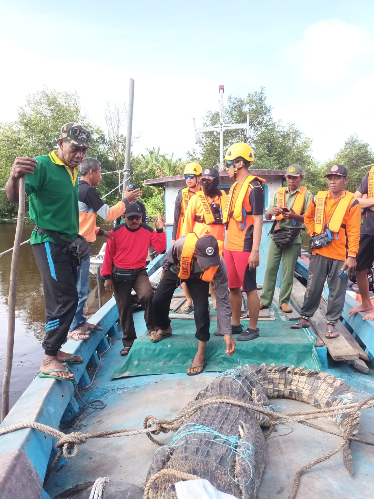 Petugas Belah Perut Buaya,  Diduga Memangsa Petani di Pekanbaru