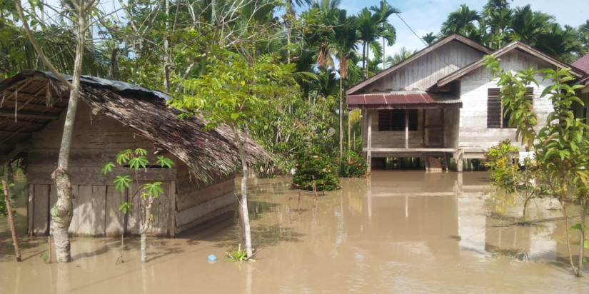 Banjir Ancam Gagal Panen Sawah Seluas 230 Hektar di Aceh Utara