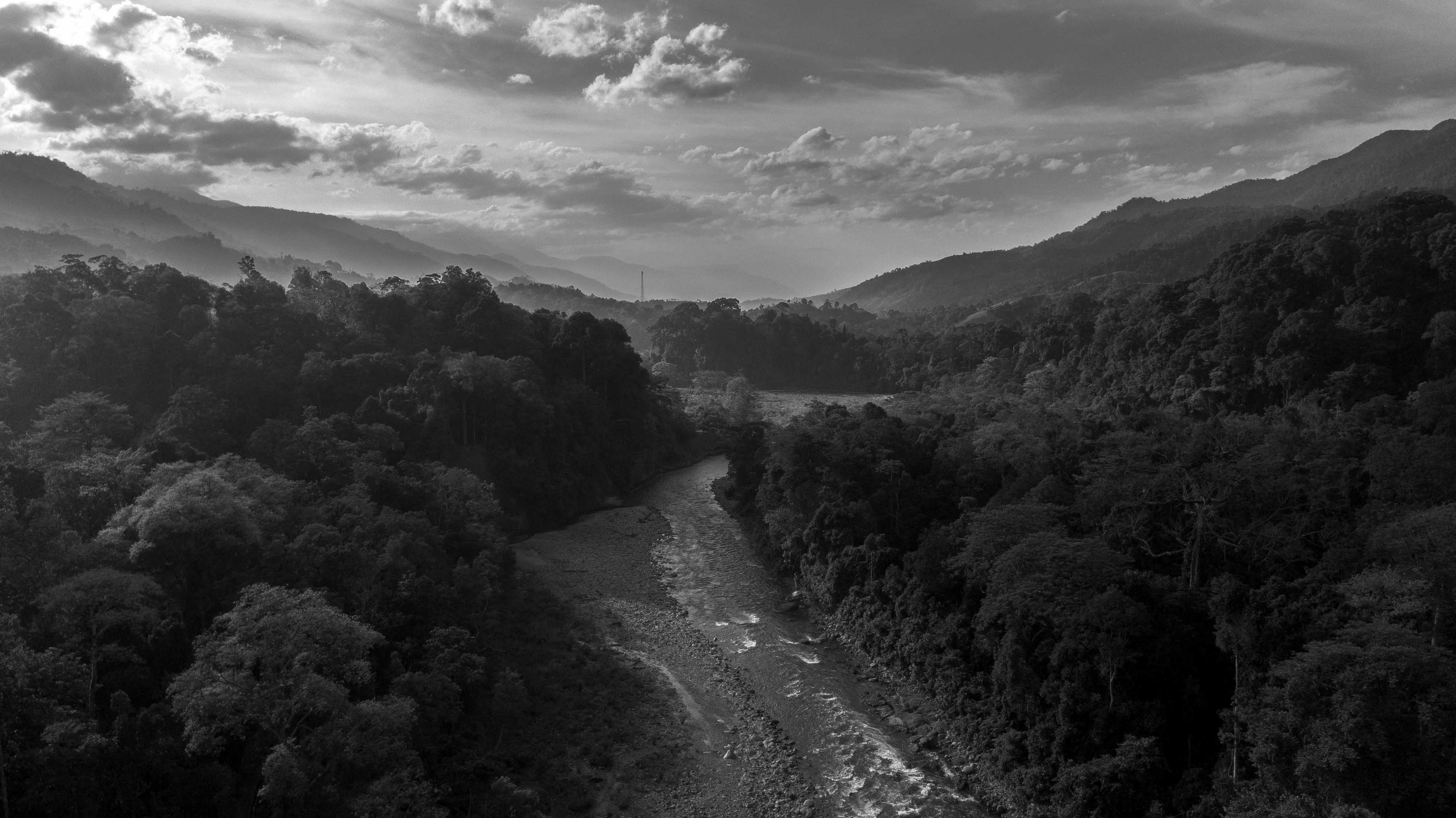 Pembangunan Jalan Muara Situlen–Gelombang  Dinilai Ancam Kawasan TNGL