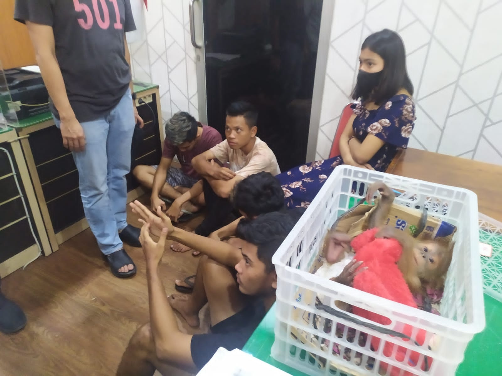 Setelah Pemeriksaan Polisi, Millenial Binjai Terduga Penjual Bayi Orangutan Sumatera Dilepas