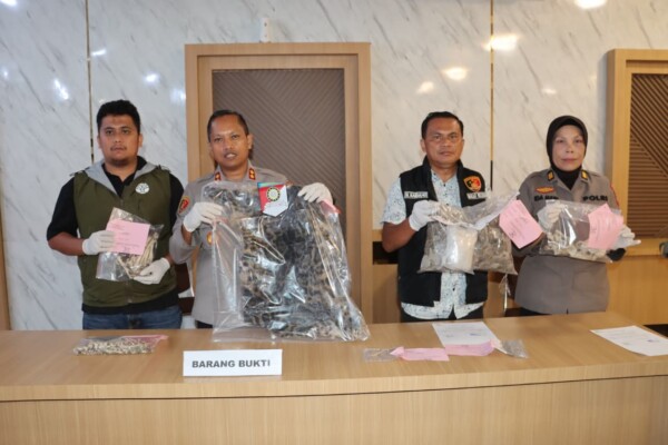 Jual Sisik Trenggiling dan Kulit Harimau Dahan, Dua Pelaku Diciduk Polisi