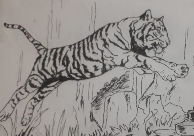 Pencari Kayu Tewas Diserang Harimau Sumatera 