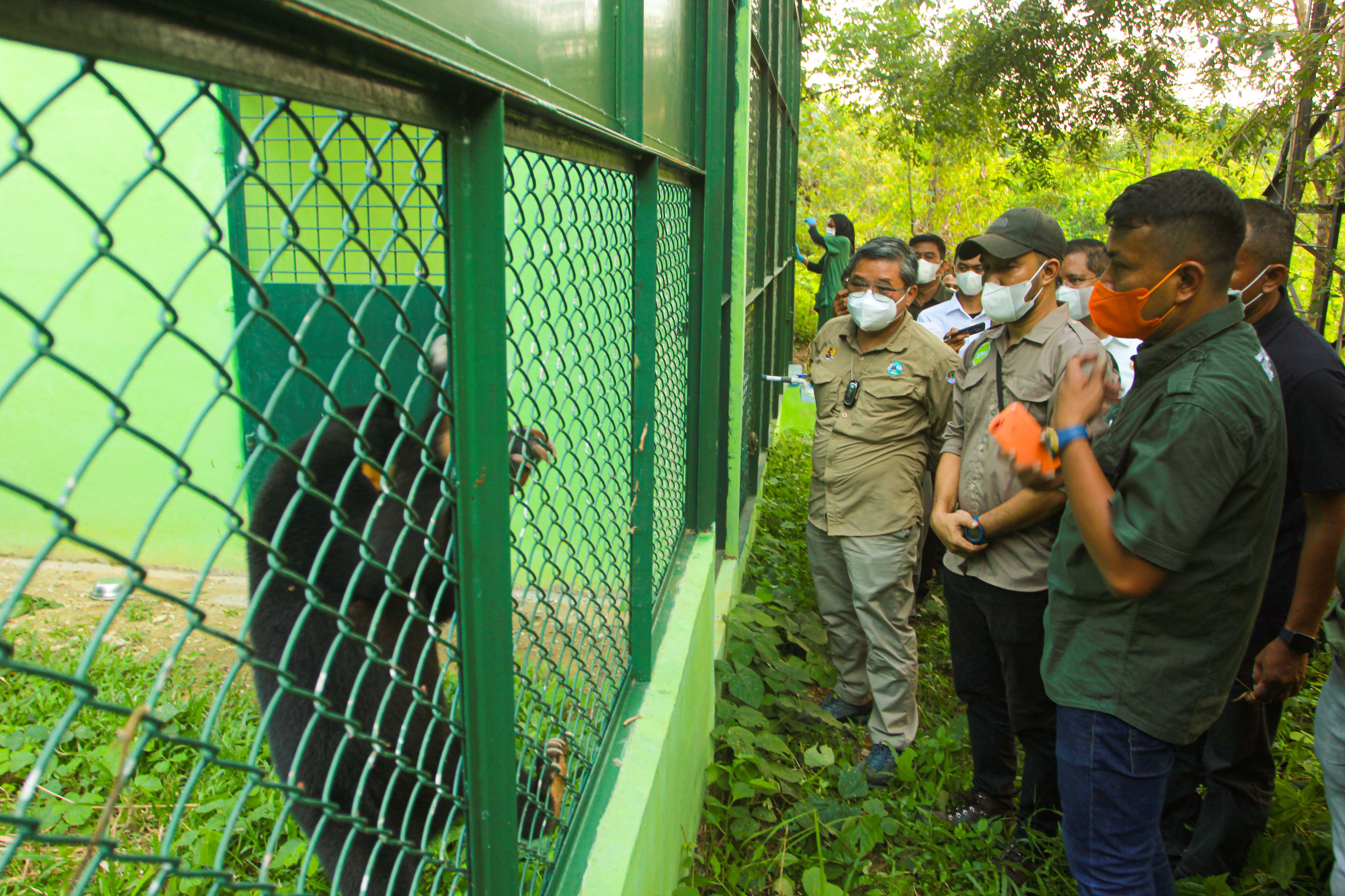 Wamen Kementerian LHK, Alue Dohong, Resmikan Pusat Penyelamatan Orangutan Dan  Beruang di Besitang - Langkat