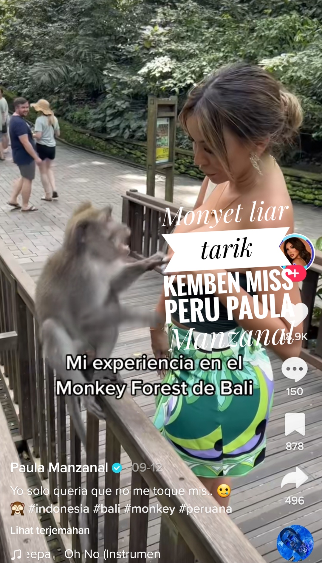 Monyet Liar Peloroti Kemben Miss Peru Paula Manzanal