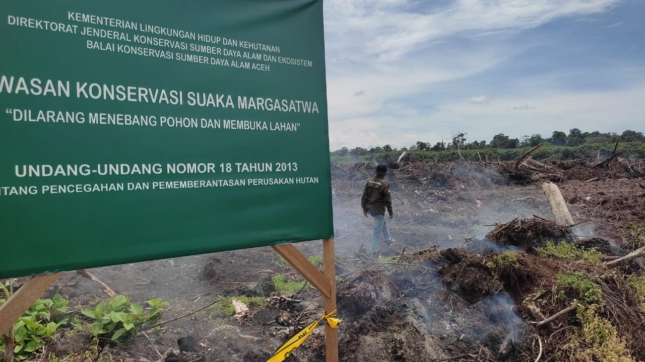 Kebun Sawit Merambah Suaka Margasatwa Rawa Singkil, Antara Rakusnya Manusia dan Dugaan Pembiaran Negara