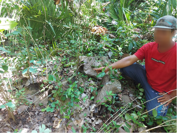 Kasus Illegal logging Sonokeling di TN Alas Purwo Segera Sidang