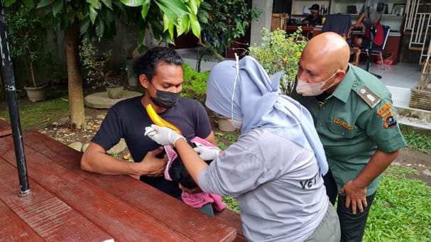 Burung Rangkong Badak Mati dengan Luka di Leher, Ini Tanggapan Balai