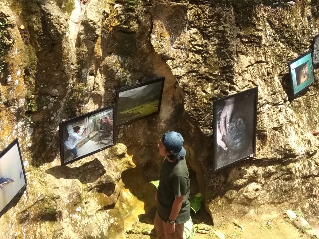  Pertama di Dunia Asosiasi Fotografer Gelar Pameran Foto di Tebing Batu Karst