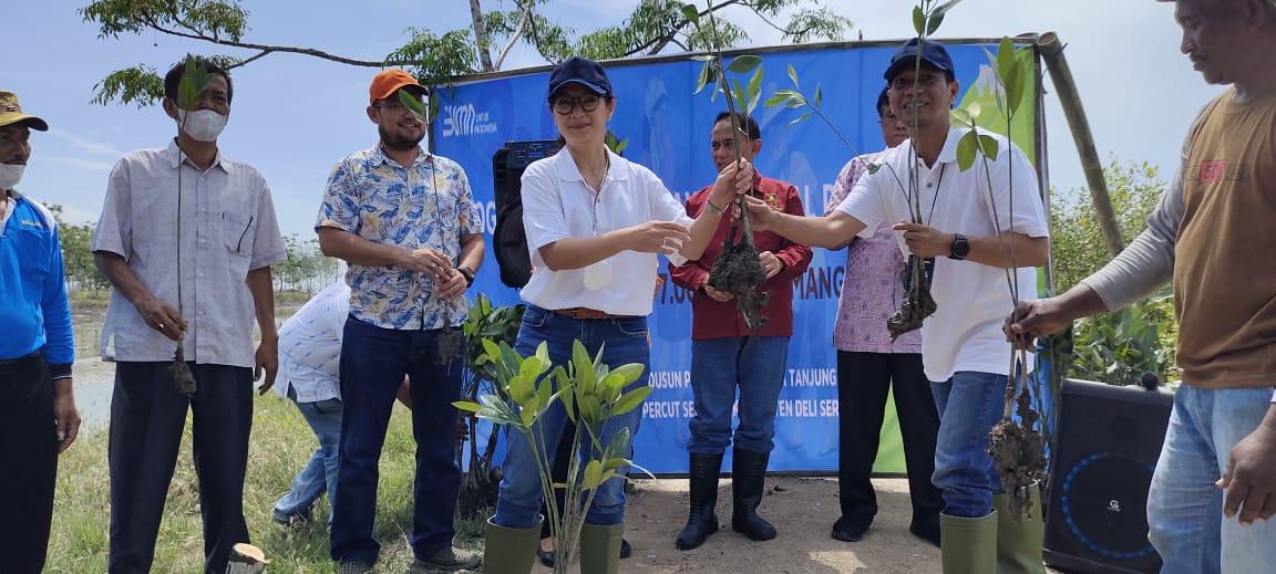 PT PNM dan KTH Bakti Nyata Tanam Mangrove