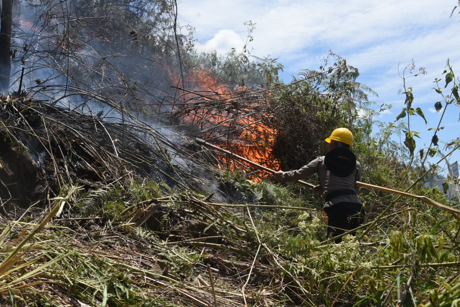 Polisi Tangkap Dua Pembakar Hutan di Kawasan Danau Toba