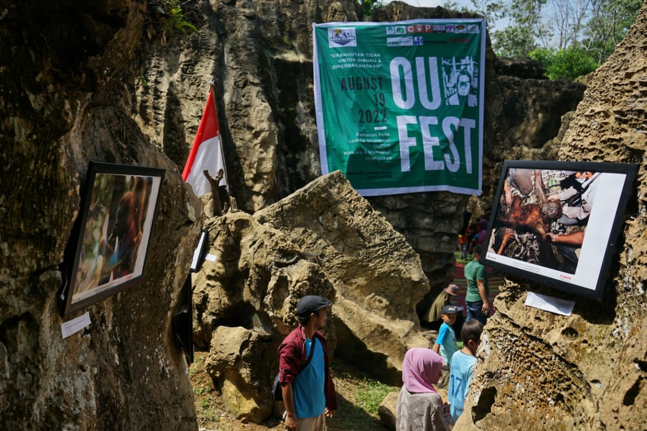 Festival Orangutan di Rock Island, Bukit Lawang Dongkrak Kunjungan Pariwisata