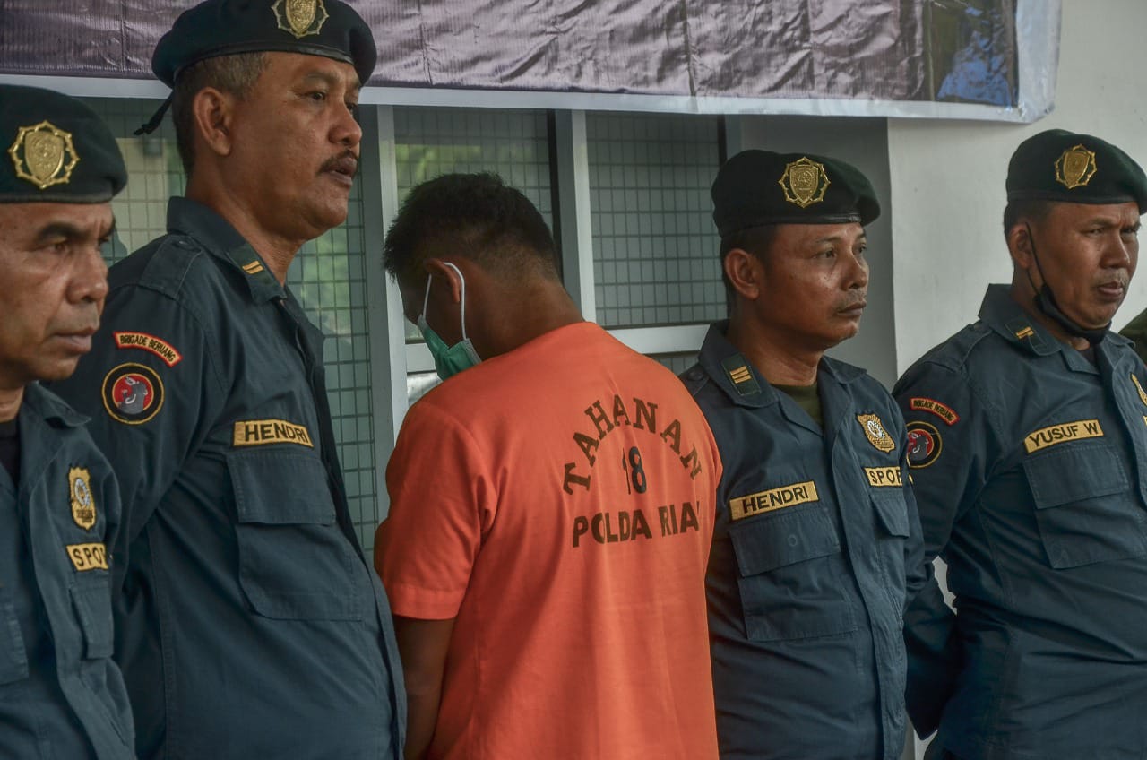 Tim Gabungan Tangkap Aktor Intelektual Perambahan Hutan TNTN, Riau