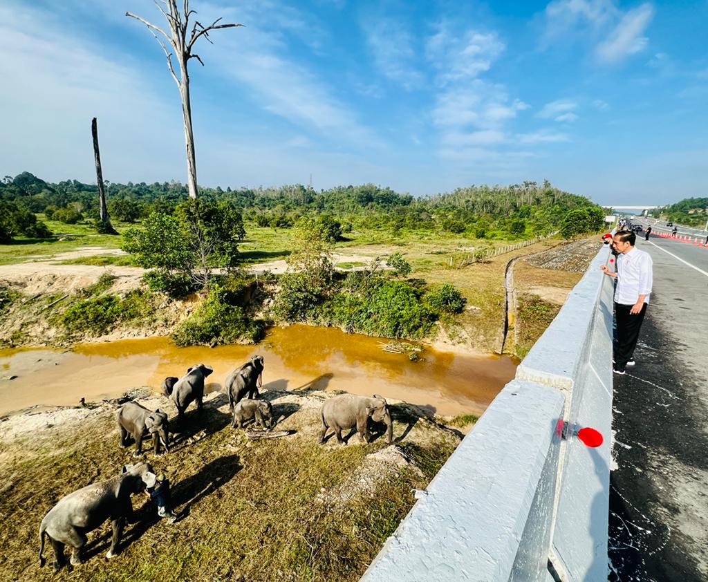 Presiden: Pembangunan Infrastruktur harus Ramah Lingkungan