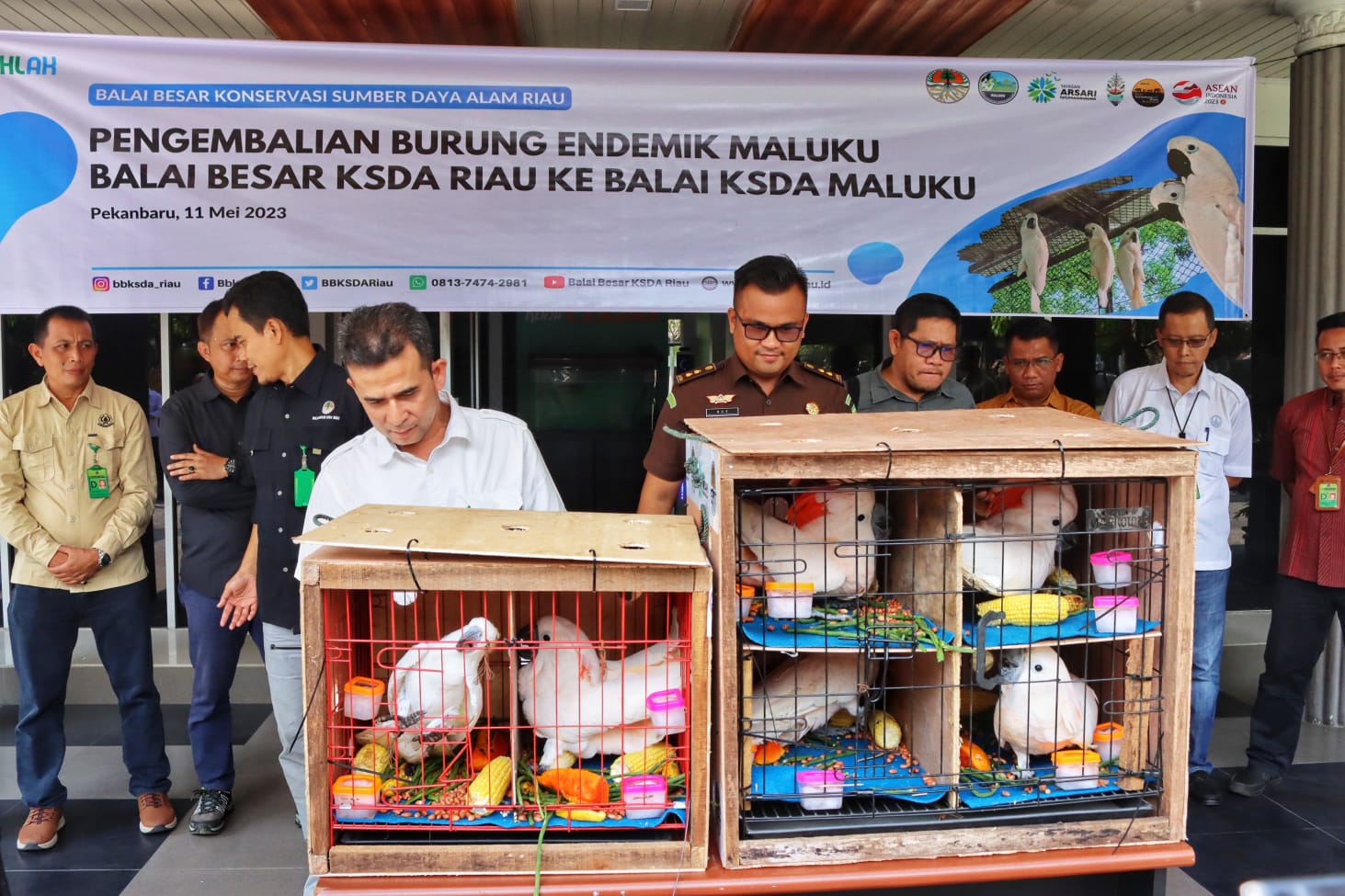 Kakatua Hasil Tindak Pidana Perdagangan Satwa Dilindungi Akan Dilepasliarkan ke Habitat Aslinya