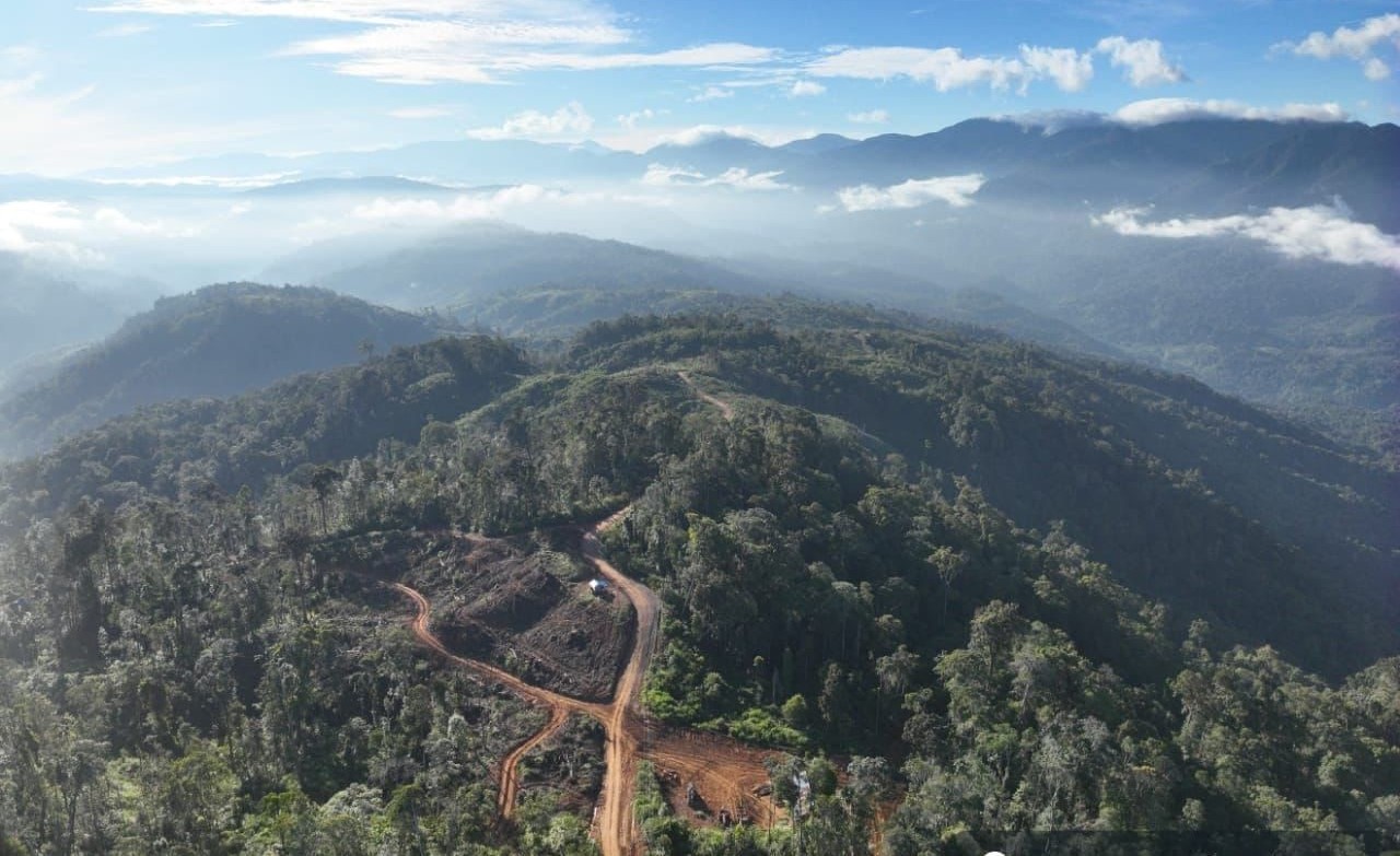 Konservasi Hutan di Indonesia Semakin Mendesak, Inovasi dan Kolaborasi Jadi Kunci