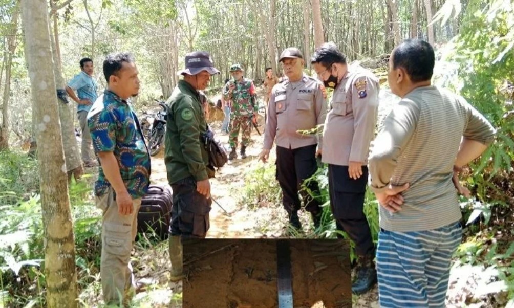 Penemuan Jejak Harimau dan Anaknya di Kebun Karet Warga