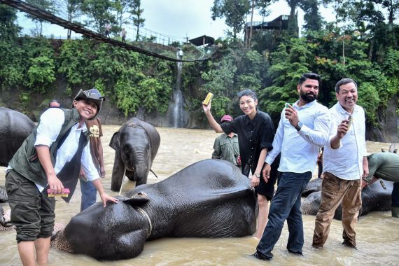 Menhut, Raja Juli Antoni Mandikan Gajah di Tangkahan, Langkat