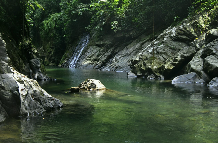 Ekowisata Tangkahan dengan Segala Keindahannya